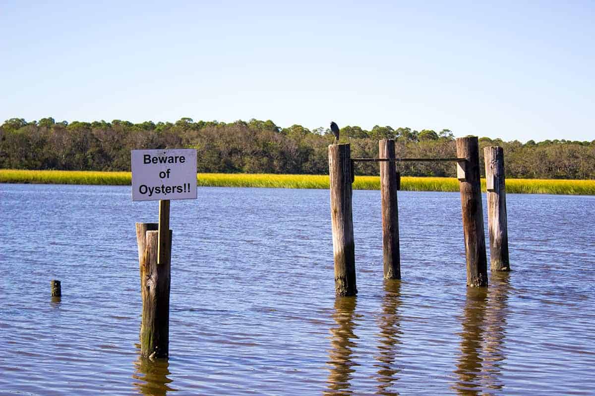 Beware of Oysters signage by Kayak Amelia in Jacksonville Florida