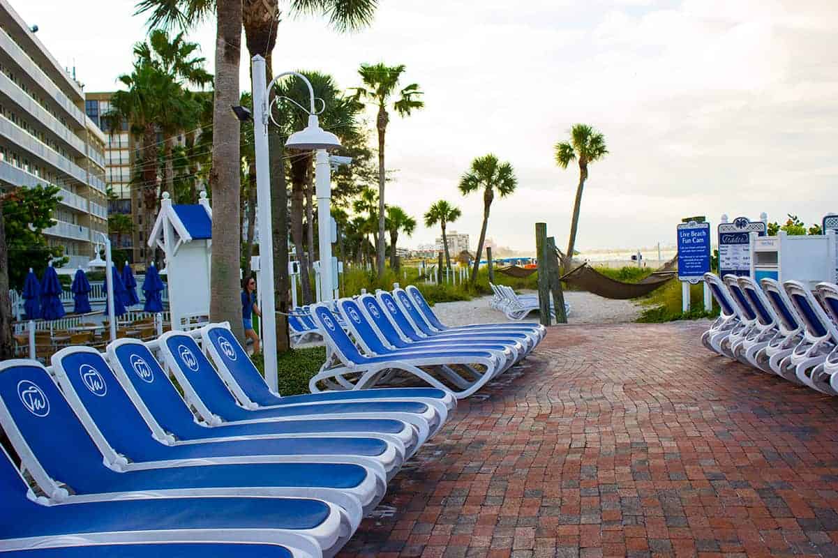 TradeWinds Resort Beach Lounge Chairs St Petes Beach Florida